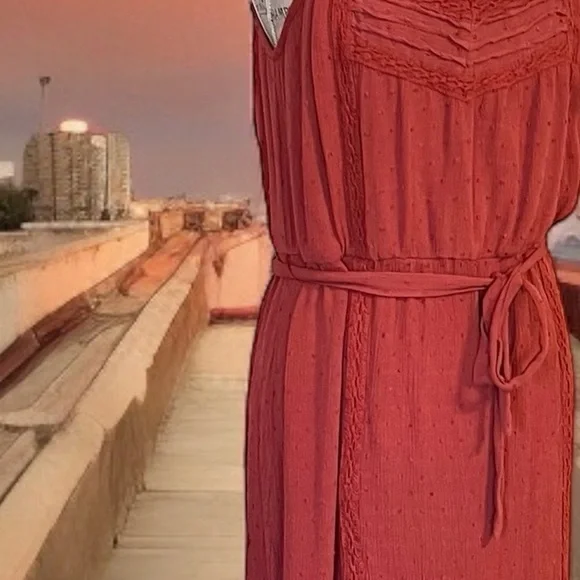 Knox Rose Terracotta Dress - Picture 11 of 16